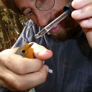 Foto Esvaziando os Céus