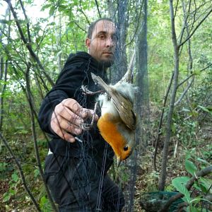 Foto Esvaziando os Céus