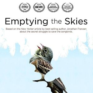 Foto Esvaziando os Céus