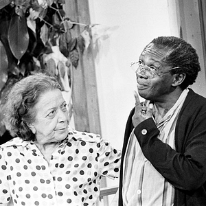 Foto Uma Rosa com Amor