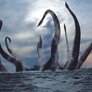 Foto Terror No Triângulo Das Bermudas