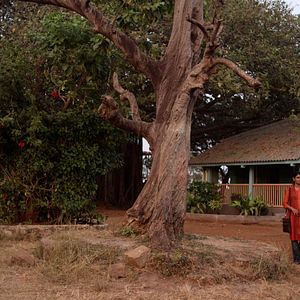 Foto Rastres de Sándal