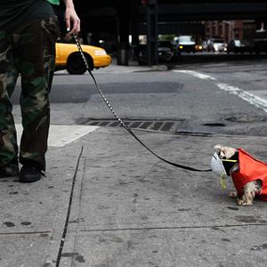 Foto Seewatchlook , O que você vê quando olha o que enxerga?