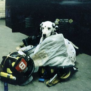 Foto A Good Job: Stories of the FDNY