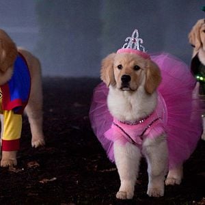 Foto Spooky Buddies: A Casa Mal-Assombrada