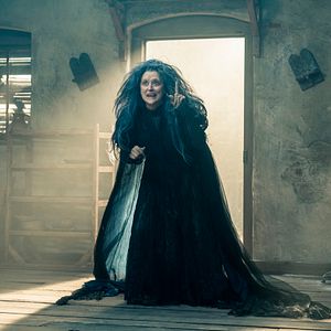 Foto Caminhos Da Floresta