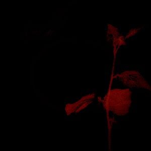 Foto Vers Madrid - The Burning Bright