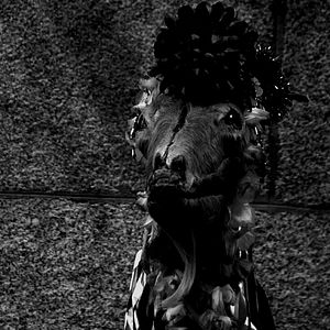 Foto Vers Madrid - The Burning Bright