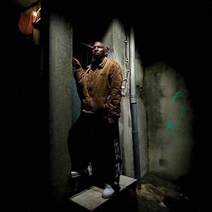 Foto Cavalo Dinheiro