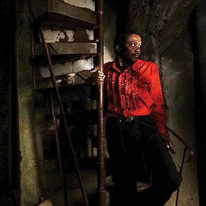 Foto Cavalo Dinheiro