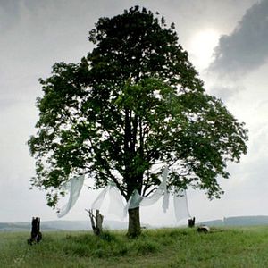 Foto Never Die Young