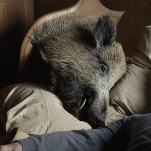 Foto Minha Querida Dama