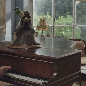 Foto Minha Querida Dama