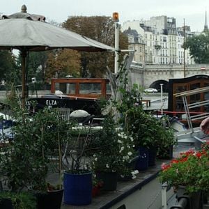 Foto Minha Querida Dama