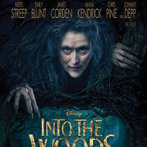 Foto Caminhos Da Floresta