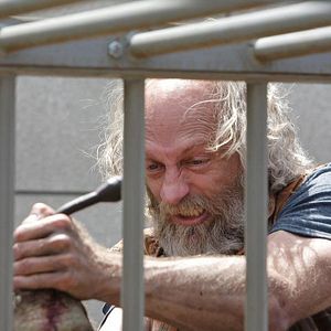 Foto Russell Hodgkinson