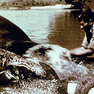 Foto Índia: Matri Bhumi