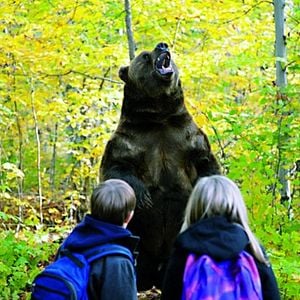 Foto Uma Aventura Animal