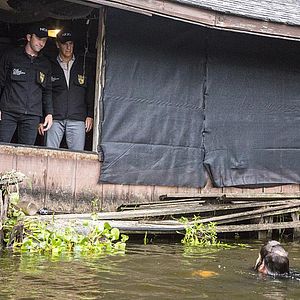 Foto NCIS: New Orleans