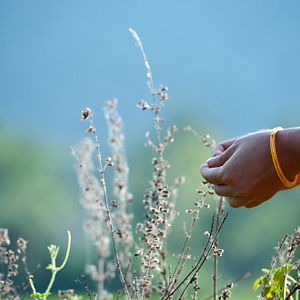 Foto Vara: Uma Bênção