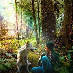 Foto Shana e a Canção do Lobo