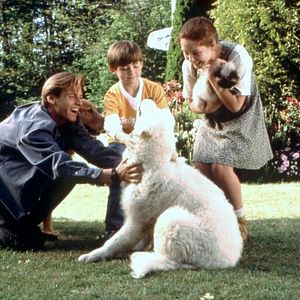 Foto A Incrível Jornada 2 - Perdidos em São Francisco