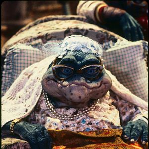 Foto Família Dinossauros