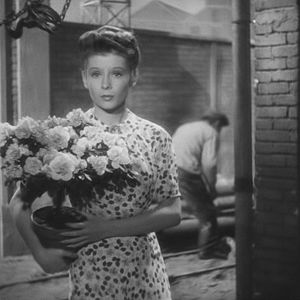 Foto Trágico Amanhecer