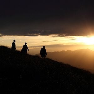 Foto O Vinho Perfeito