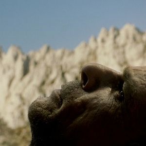 Foto Jornada ao Oeste