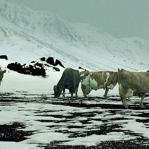 Foto Mudando o Destino