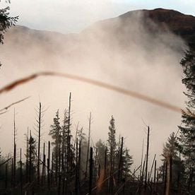 Foto A Vida Pode Ser