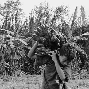 Foto Do Que Vem Antes