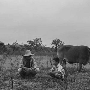 Foto Do Que Vem Antes