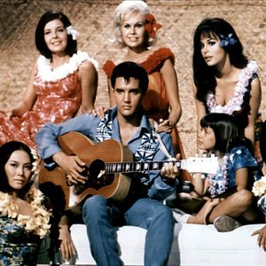 Foto No Paraíso do Havaí