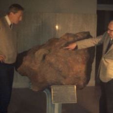 Foto A Cor Que Caiu do Céu