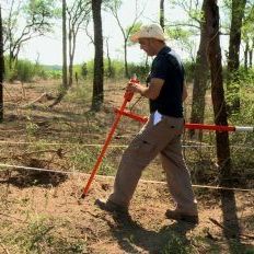 Foto A Cor Que Caiu do Céu