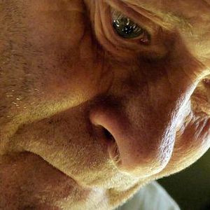 Foto A Criação do Sentido