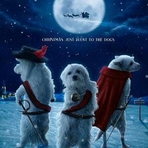 Foto Os 3 Cães Mosqueteiros