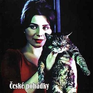 Foto Um Dia, Um Gato