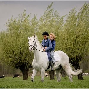 Foto Mels van der Hoeven