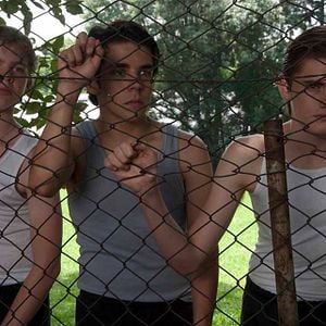 Foto Obediência Perfeita