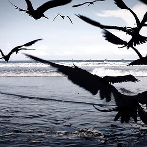 Foto Silencio en la Tierra de los Sueños