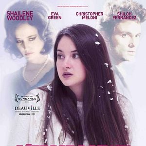 Foto Pássaro Branco na Nevasca