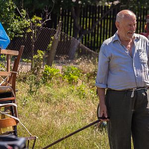 Foto The Japanese Dog