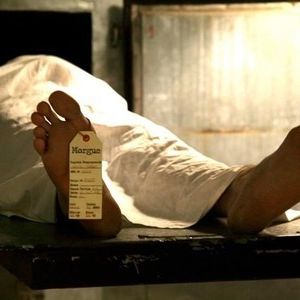 Foto Morgue Story – Sangue, Baiacu & Quadrinhos