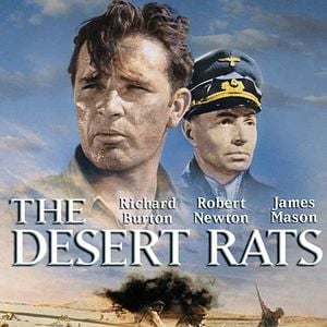 Foto Ratos do Deserto