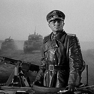 Foto Ratos do Deserto