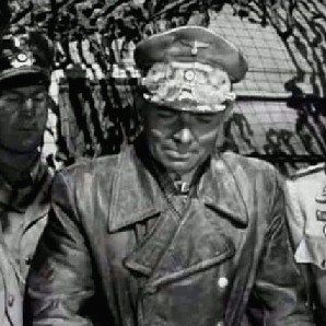 Foto Ratos do Deserto