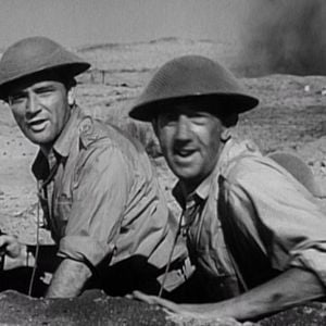 Foto Ratos do Deserto